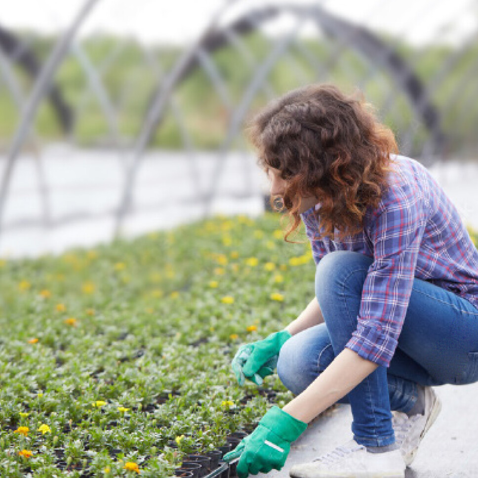 Protection hygiene & sanitaire