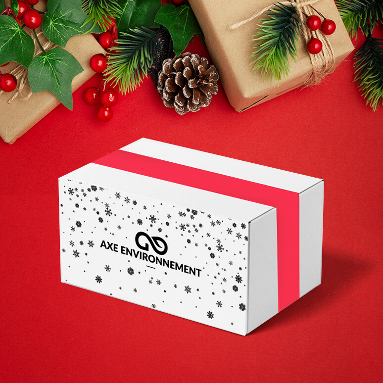 BOX DE NOËL